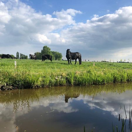 Vakantiehuis In Friesland Voor De Hele Familie Huns Kültér fotó