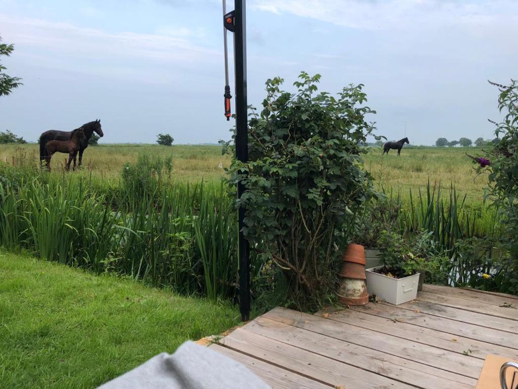 Vakantiehuis In Friesland Voor De Hele Familie Huns Kültér fotó