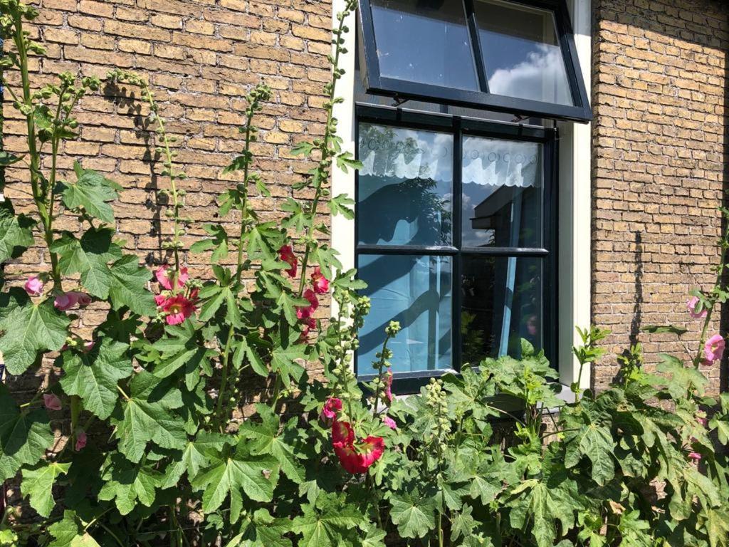 Vakantiehuis In Friesland Voor De Hele Familie Huns Kültér fotó